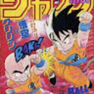 Meet your Posher, Adela